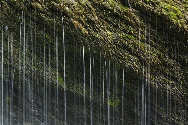 Detail of the Thur waterfalls