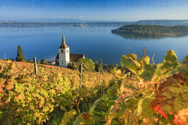 Ligerz on Lake Biel