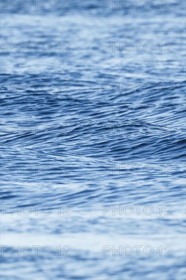 Blue sea with light swell