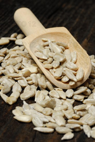 Sunflower seeds