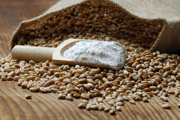 Wheat