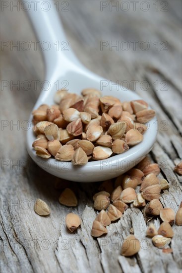 Buckwheat