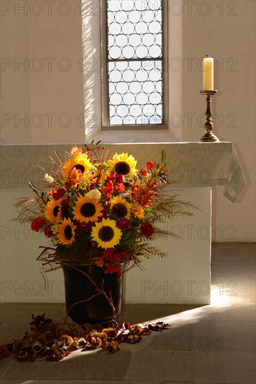 Flowers in vase