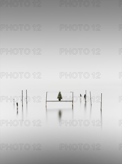 Footbridge with a fir tree in a pot at fog in the Kleiner Schwielochsee