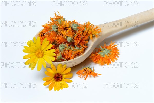 Dried marigold blossoms in wooden ladle