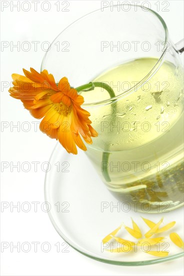 Cup of tea