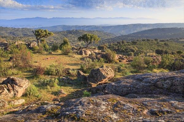 Typical landscape in the Sierra de Andujar National Park