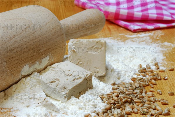 Baker's yeast