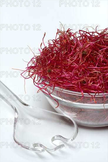 Beetroot sprouts
