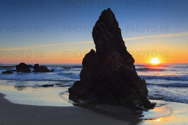 Sandy beach beach on the coast
