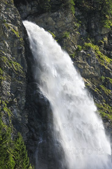 Staeubifall