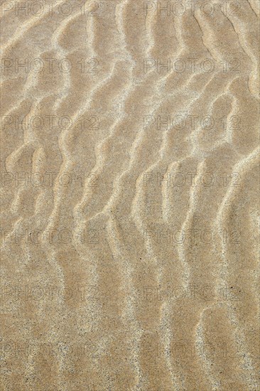 Structure in sand
