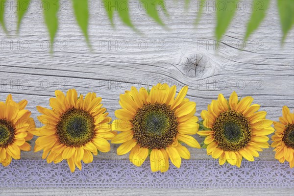 Sunflowers decoration on wood