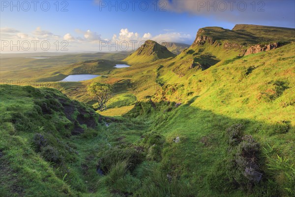 Trotternish