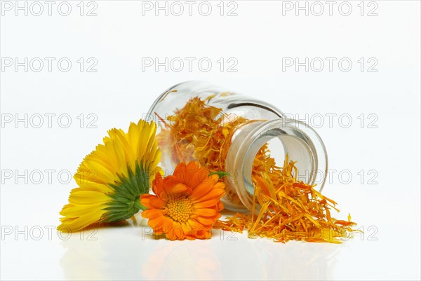 Marigoldsdried petals in vials