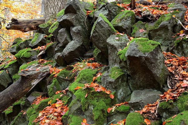 Basalt block field