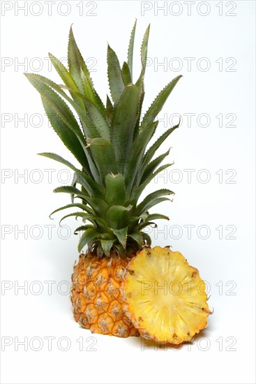 Truncated Pineapple