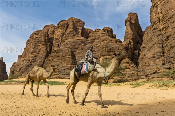 Boy riding on camel