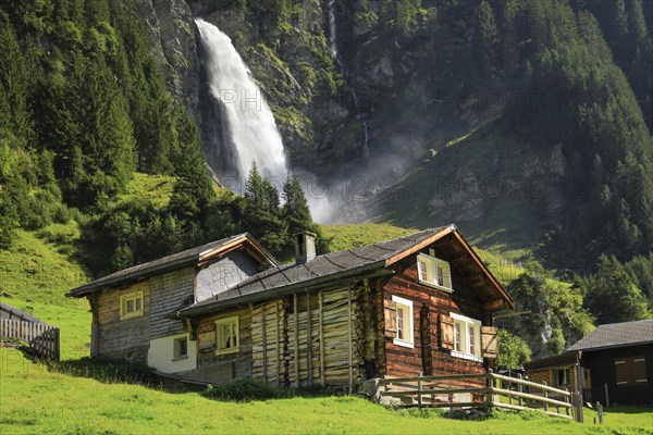 Staeubifall