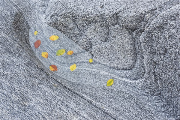 Steindetail