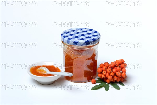 Glass of rowanberry and apple jam with n