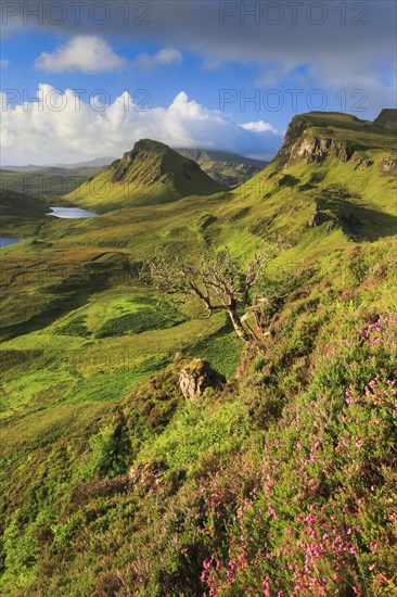 Trotternish