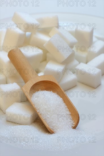 Sugar cubes on plate