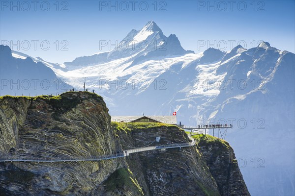 Schreckhorn