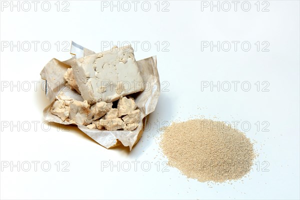 Fresh and dry yeast