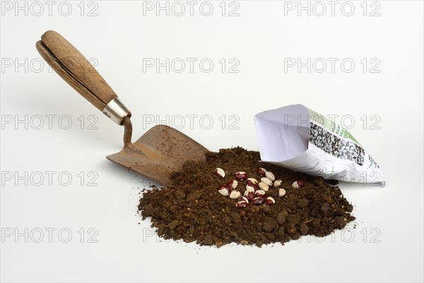 Beans
