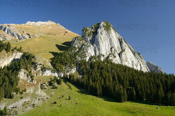 Schafberg