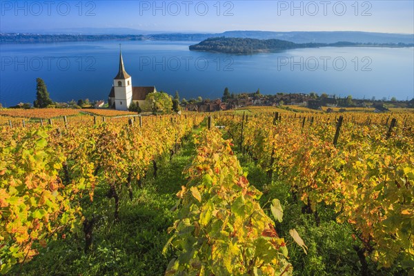 Ligerz on Lake Biel