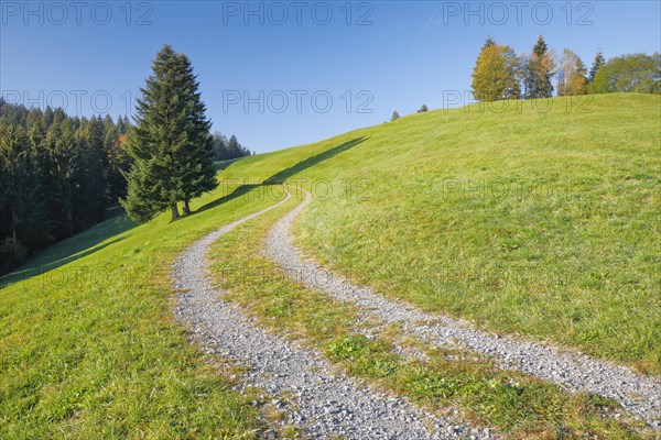 Field path on the Ratenpass
