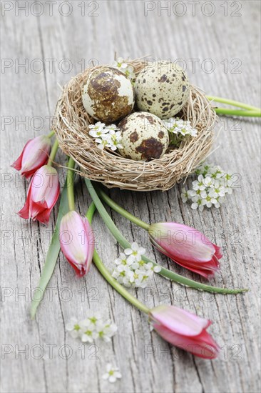 Natural Easter Decoration