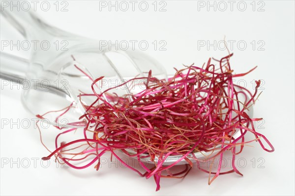 Beetroot sprouts