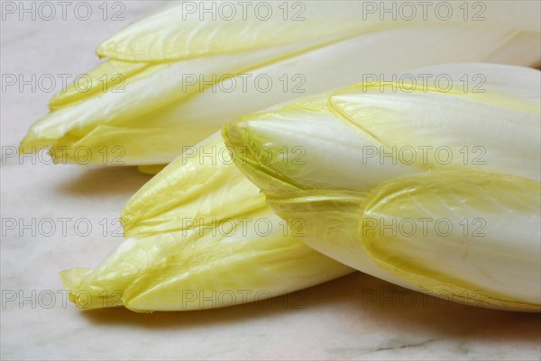 Chicory