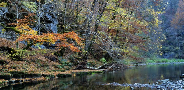 Wutach Gorge
