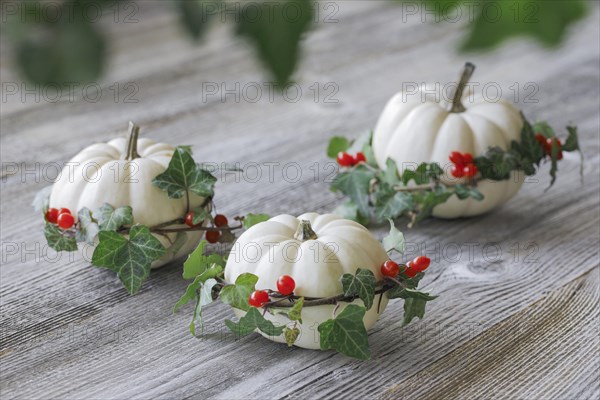 Autumnal decoration