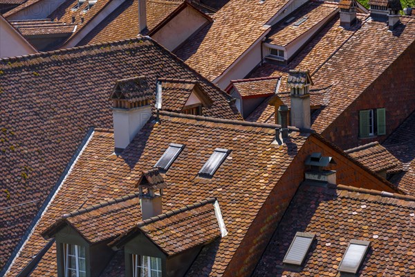 Angled house roofs