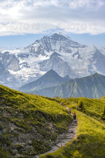 Hikers on hiking trail
