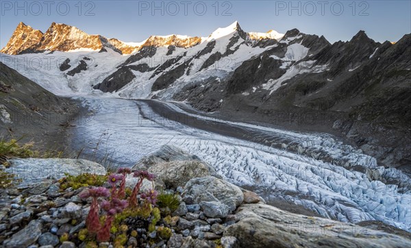 High alpine landscape