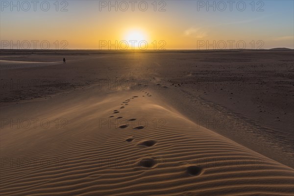 Footsteps in a sand dune at sunset