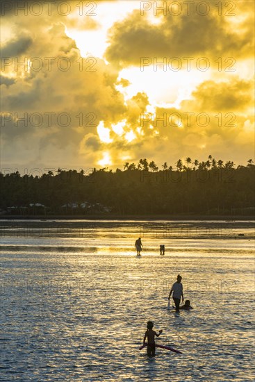 Locals local for snails at sunset in the lagoon of Wallis