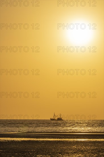 Crab cutter in the mudflats at evening light