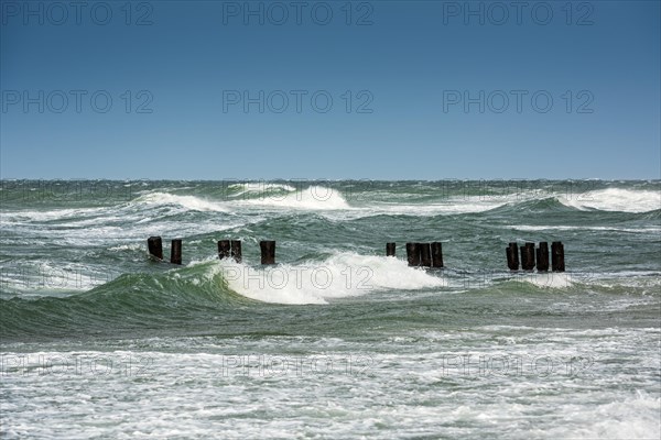 Winter storm at the Baltic Sea