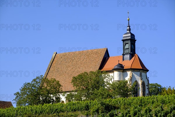 Late Gothic pilgrimage church Maria im Weingarten