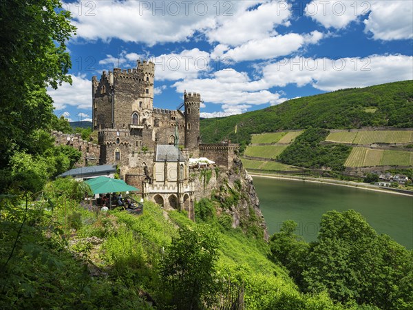 Rheinstein Castle on the Rhine