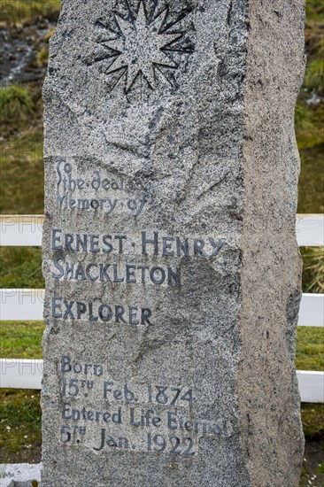 Gravestone of Shackleton
