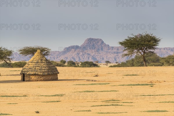 Toubou hut in the Unesco world heritage