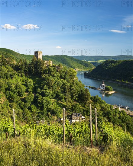 View of Gutenfels Castle on the Rhine
